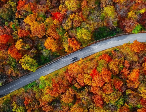 Golden Years, Golden Leaves: Top Late-Season Autumn Trips